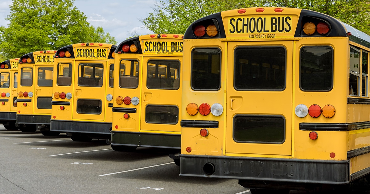 School Bus Safety Sensors Seat Belts Necessary