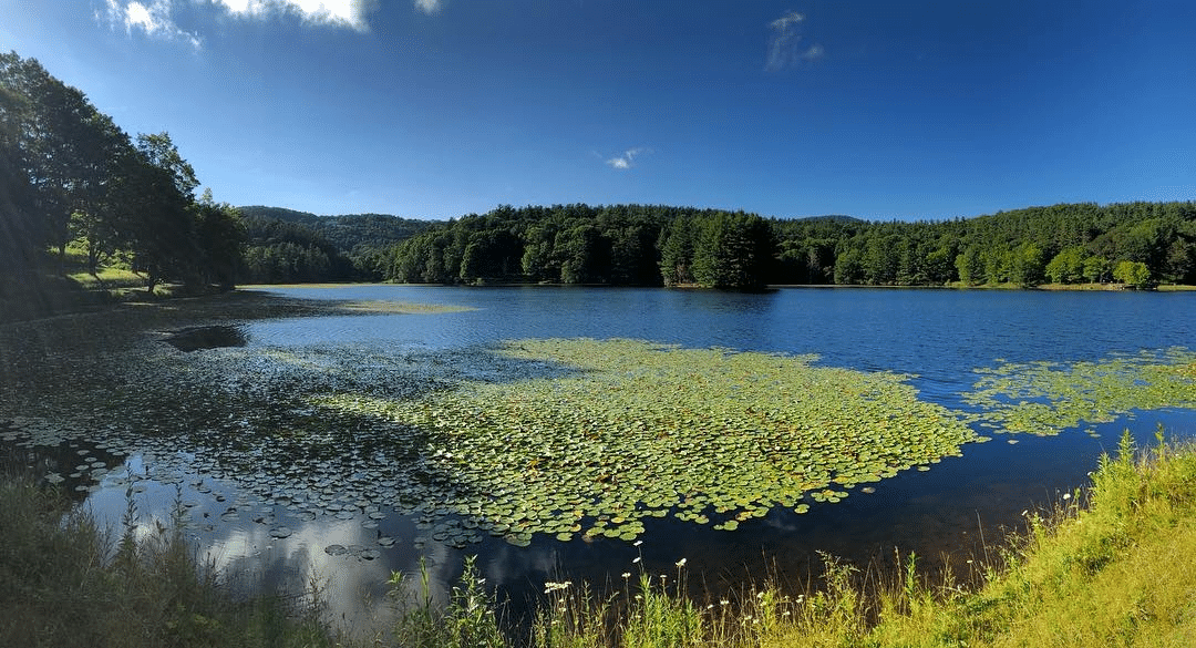 Retiro del lago Gilmer
